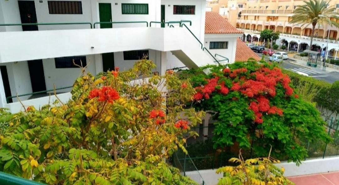 Luxury Sonnenland Apartment Maspalomas  Exterior photo
